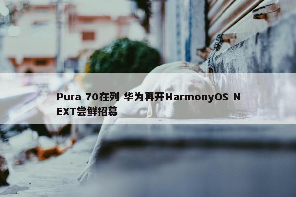 Pura 70在列 华为再开HarmonyOS NEXT尝鲜招募