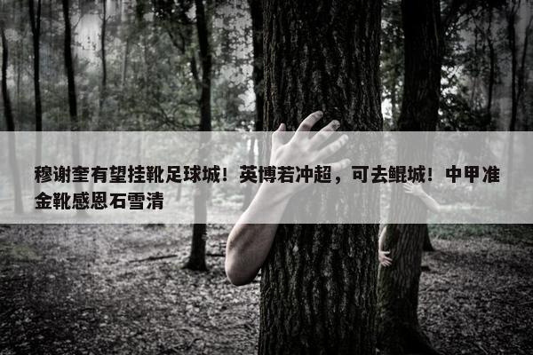 穆谢奎有望挂靴足球城！英博若冲超，可去鲲城！中甲准金靴感恩石雪清