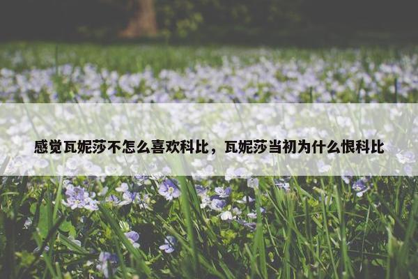 感觉瓦妮莎不怎么喜欢科比，瓦妮莎当初为什么恨科比