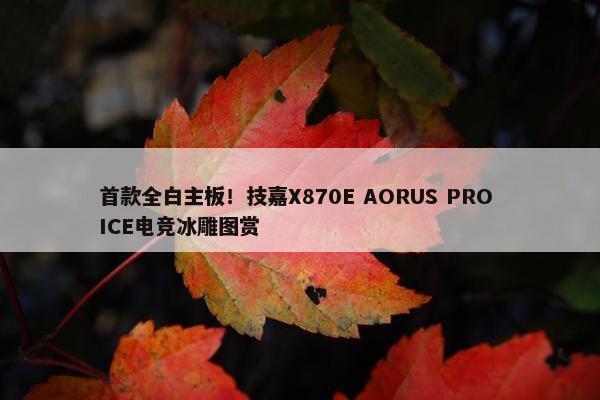 首款全白主板！技嘉X870E AORUS PRO ICE电竞冰雕图赏