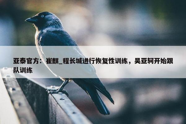 亚泰官方：崔麒_程长城进行恢复性训练，吴亚轲开始跟队训练