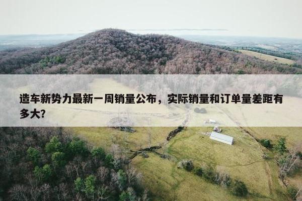 造车新势力最新一周销量公布，实际销量和订单量差距有多大？