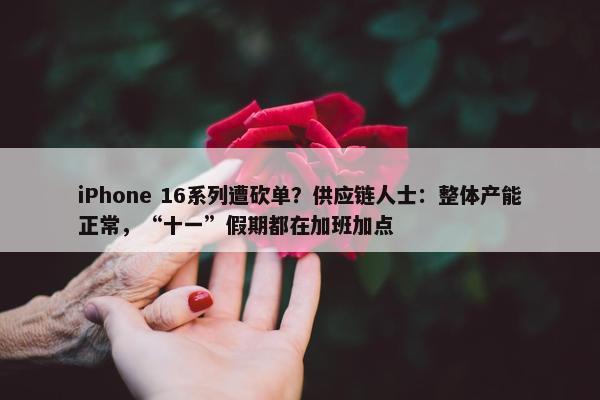 iPhone 16系列遭砍单？供应链人士：整体产能正常，“十一”假期都在加班加点