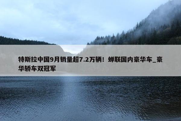 特斯拉中国9月销量超7.2万辆！蝉联国内豪华车_豪华轿车双冠军