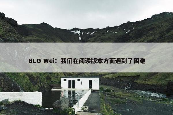 BLG Wei：我们在阅读版本方面遇到了困难