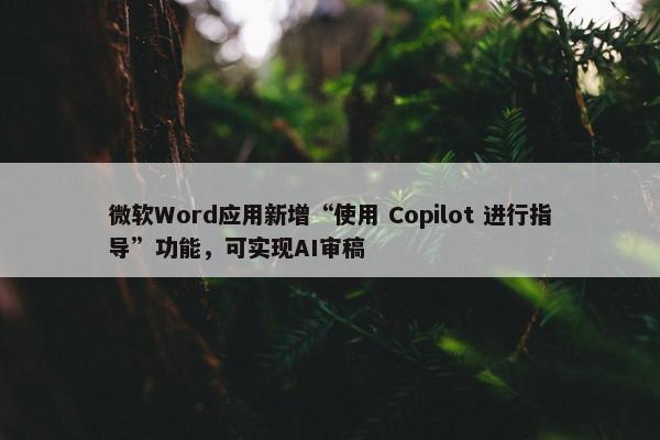 微软Word应用新增“使用 Copilot 进行指导”功能，可实现AI审稿