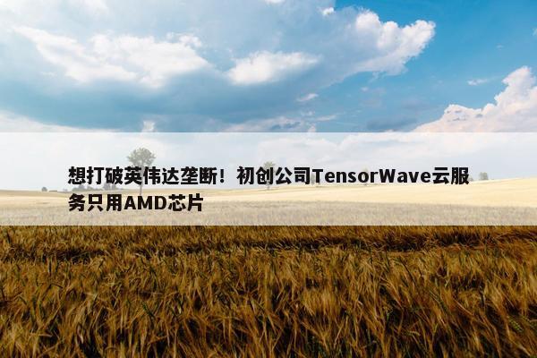 想打破英伟达垄断！初创公司TensorWave云服务只用AMD芯片