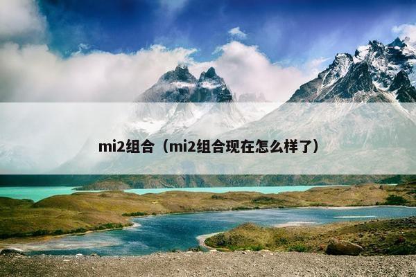 mi2组合（mi2组合现在怎么样了）