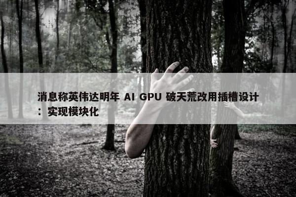 消息称英伟达明年 AI GPU 破天荒改用插槽设计：实现模块化