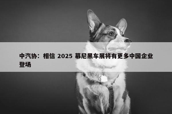 中汽协：相信 2025 慕尼黑车展将有更多中国企业登场