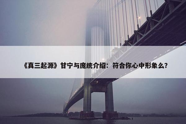 《真三起源》甘宁与庞统介绍：符合你心中形象么？