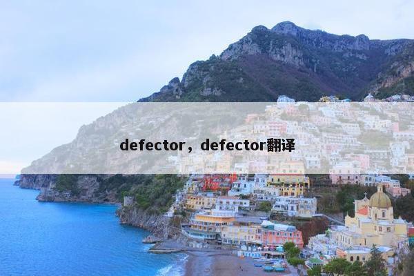 defector，defector翻译