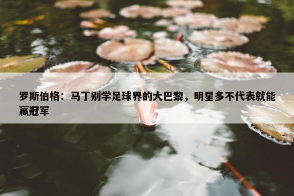 罗斯伯格：马丁别学足球界的大巴黎，明星多不代表就能赢冠军