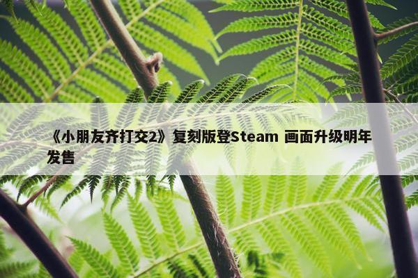 《小朋友齐打交2》复刻版登Steam 画面升级明年发售