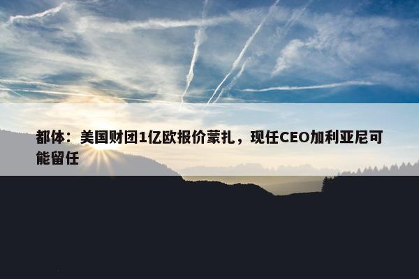 都体：美国财团1亿欧报价蒙扎，现任CEO加利亚尼可能留任