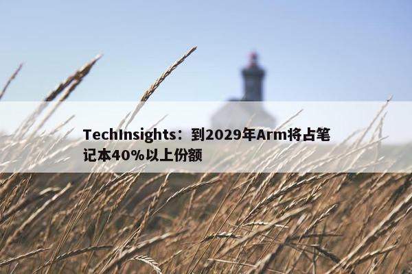 TechInsights：到2029年Arm将占笔记本40%以上份额