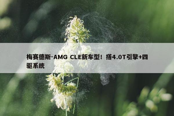 梅赛德斯-AMG CLE新车型！搭4.0T引擎+四驱系统