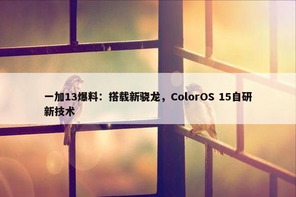 一加13爆料：搭载新骁龙，ColorOS 15自研新技术