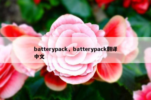 batterypack，batterypack翻译中文