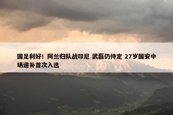 国足利好！阿兰归队战印尼 武磊仍待定 27岁国安中场递补首次入选