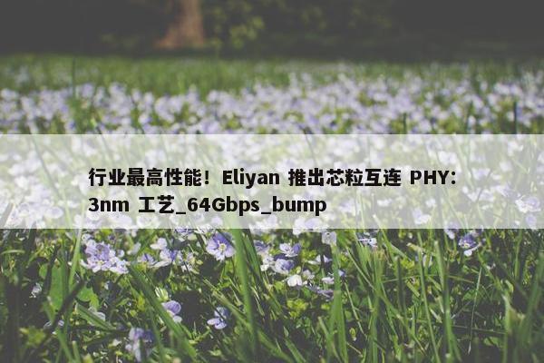 行业最高性能！Eliyan 推出芯粒互连 PHY：3nm 工艺_64Gbps_bump