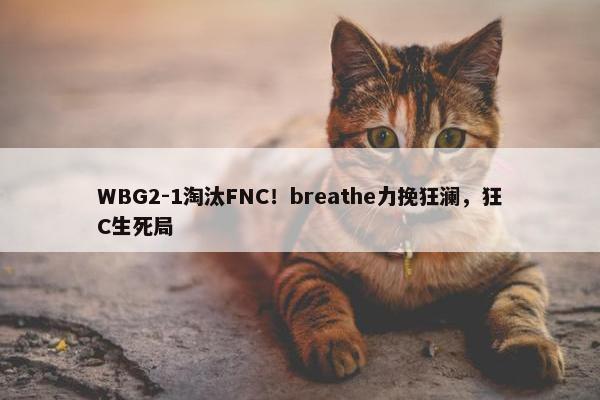 WBG2-1淘汰FNC！breathe力挽狂澜，狂C生死局