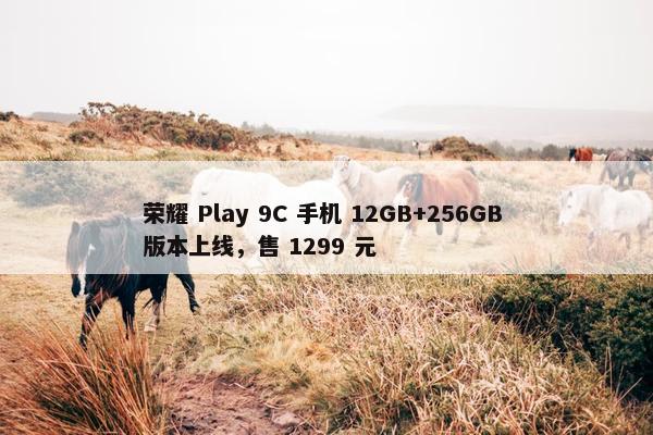 荣耀 Play 9C 手机 12GB+256GB 版本上线，售 1299 元