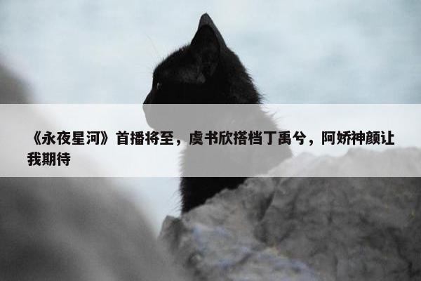 《永夜星河》首播将至，虞书欣搭档丁禹兮，阿娇神颜让我期待