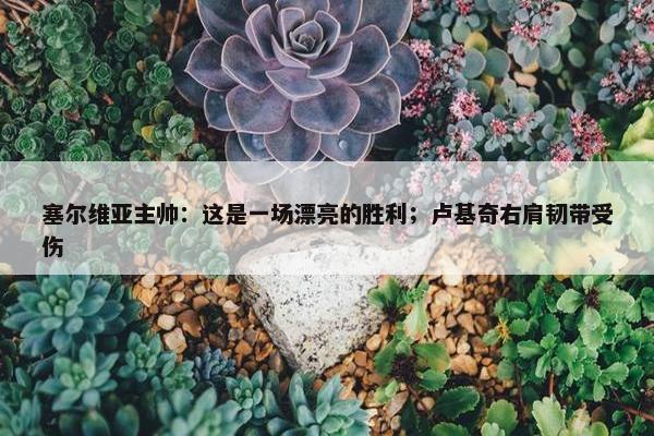 塞尔维亚主帅：这是一场漂亮的胜利；卢基奇右肩韧带受伤