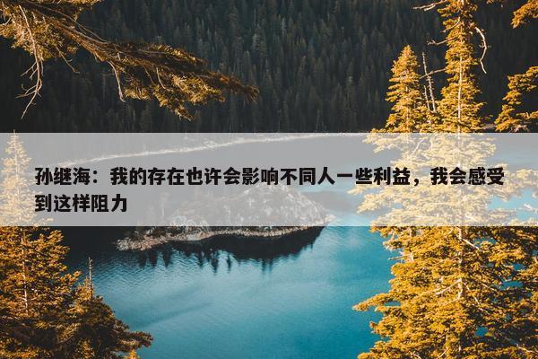 孙继海：我的存在也许会影响不同人一些利益，我会感受到这样阻力