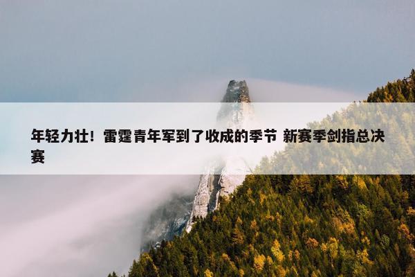 年轻力壮！雷霆青年军到了收成的季节 新赛季剑指总决赛