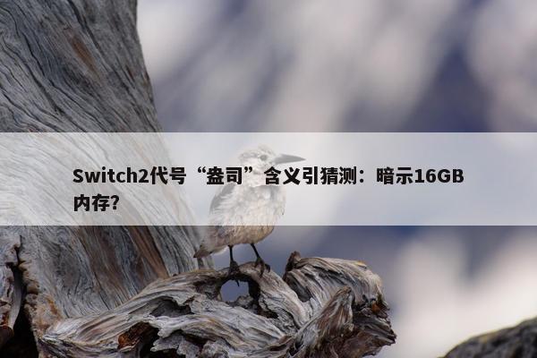 Switch2代号“盎司”含义引猜测：暗示16GB内存？