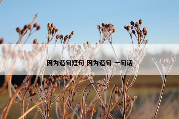 因为造句短句 因为造句 一句话