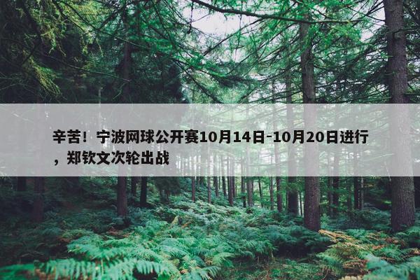 辛苦！宁波网球公开赛10月14日-10月20日进行，郑钦文次轮出战