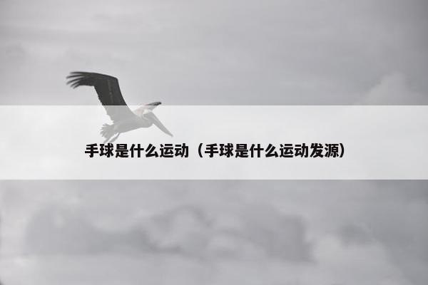 手球是什么运动（手球是什么运动发源）