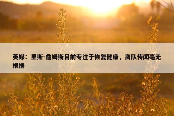 英媒：里斯-詹姆斯目前专注于恢复健康，离队传闻毫无根据