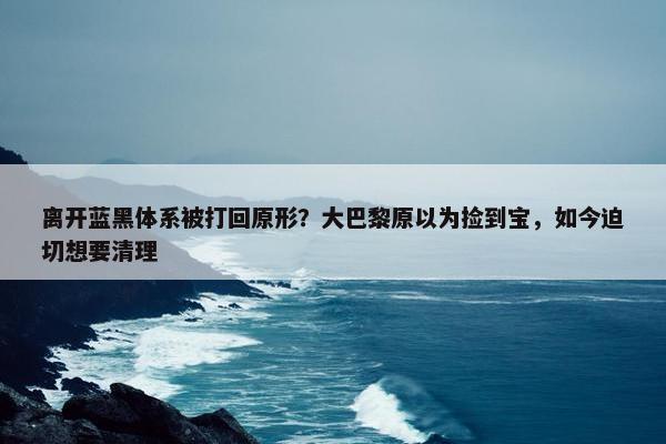 离开蓝黑体系被打回原形？大巴黎原以为捡到宝，如今迫切想要清理