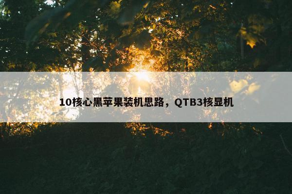 10核心黑苹果装机思路，QTB3核显机