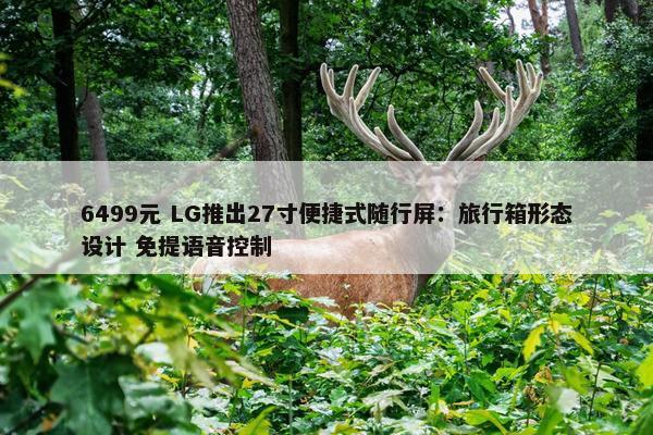 6499元 LG推出27寸便捷式随行屏：旅行箱形态设计 免提语音控制