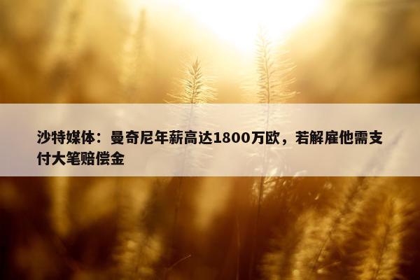 沙特媒体：曼奇尼年薪高达1800万欧，若解雇他需支付大笔赔偿金