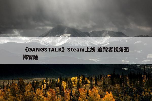 《GANGSTALK》Steam上线 追踪者视角恐怖冒险