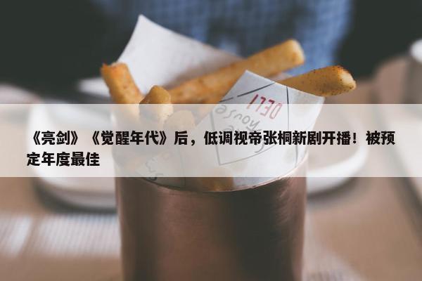 《亮剑》《觉醒年代》后，低调视帝张桐新剧开播！被预定年度最佳