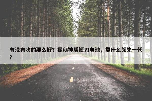 有没有吹的那么好？探秘神盾短刀电池，靠什么领先一代？