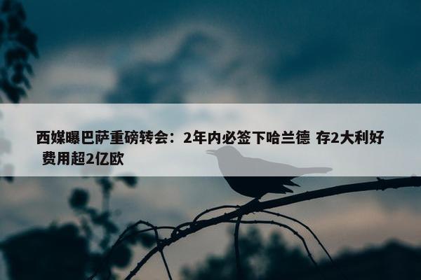 西媒曝巴萨重磅转会：2年内必签下哈兰德 存2大利好 费用超2亿欧