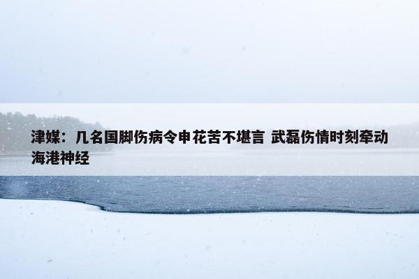 津媒：几名国脚伤病令申花苦不堪言 武磊伤情时刻牵动海港神经