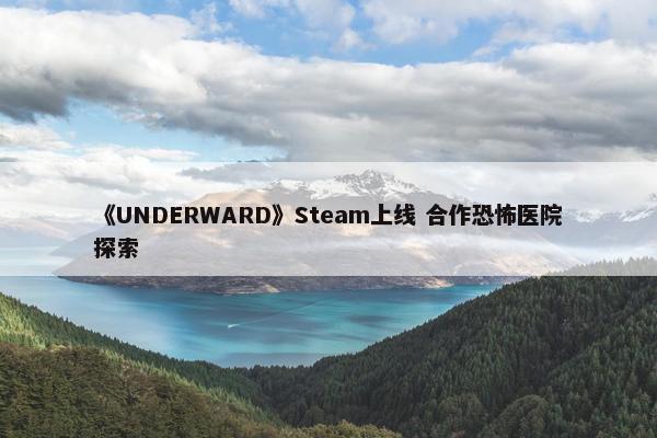 《UNDERWARD》Steam上线 合作恐怖医院探索