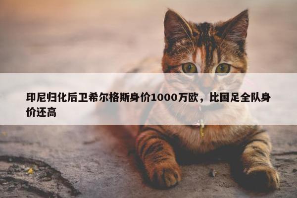 印尼归化后卫希尔格斯身价1000万欧，比国足全队身价还高