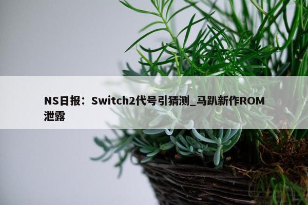 NS日报：Switch2代号引猜测_马趴新作ROM泄露