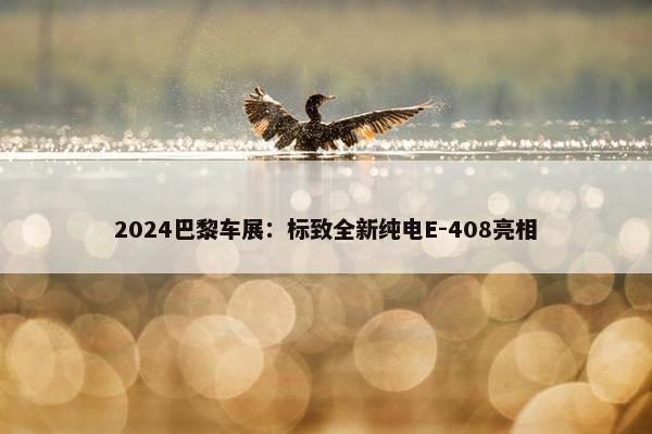 2024巴黎车展：标致全新纯电E-408亮相