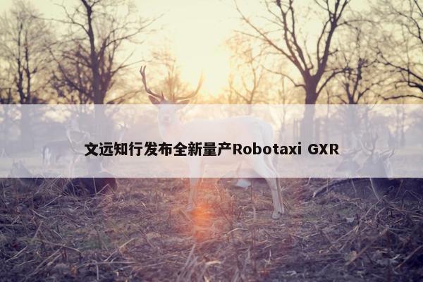 文远知行发布全新量产Robotaxi GXR